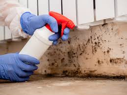 Best Indoor Air Quality Assessment  in Huntsville, TX